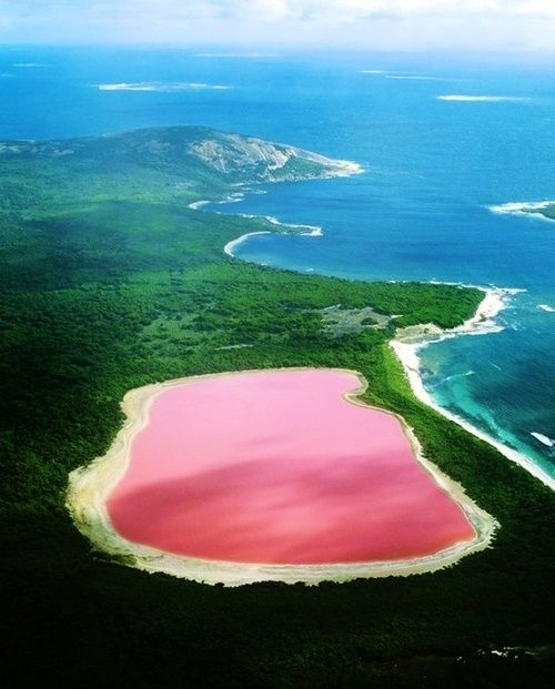 Lake Hillier, Australia. The only naturally pink lake in the world.