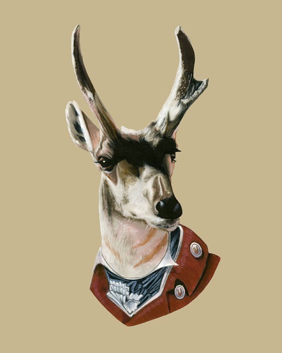 Buck print 8x10