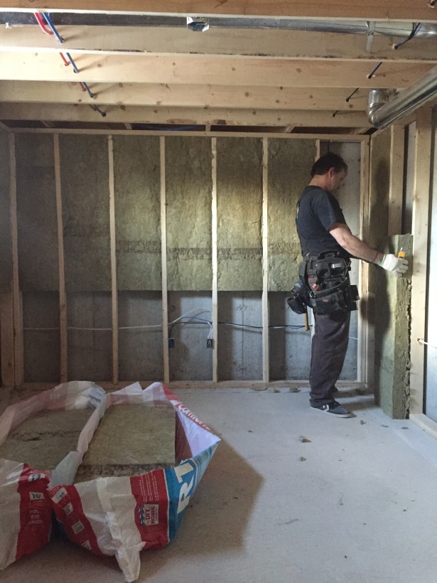 christine dovey project flip construction roxul insulation