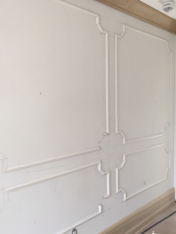 chrisitne dovey project flip