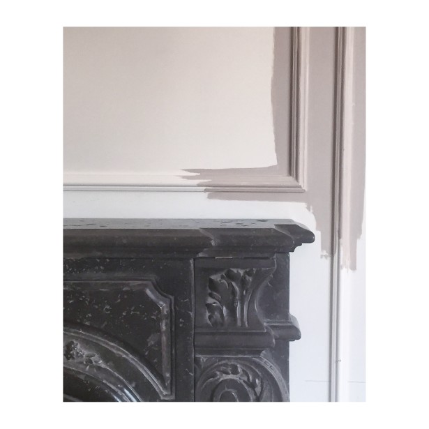 chrisitne dovey project flip para paint