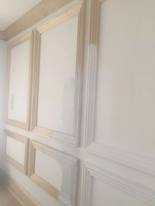 chrisitne dovey project flip para paint