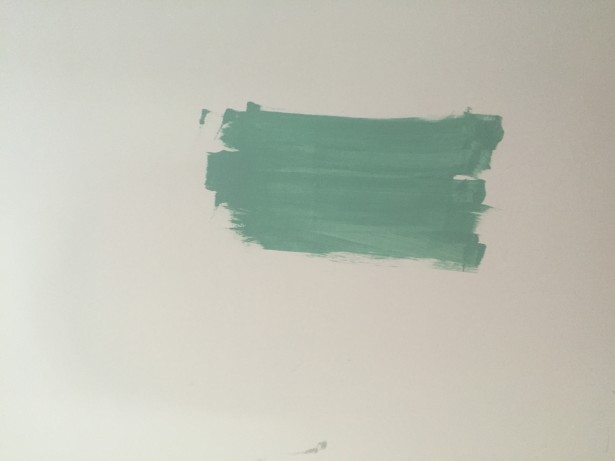 chrisitne dovey project flip para paint