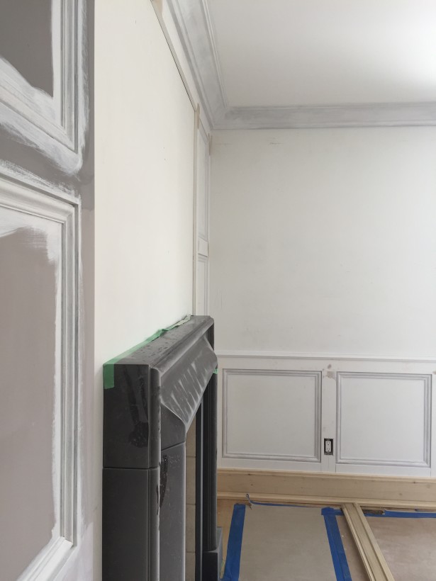 chrisitne dovey project flip