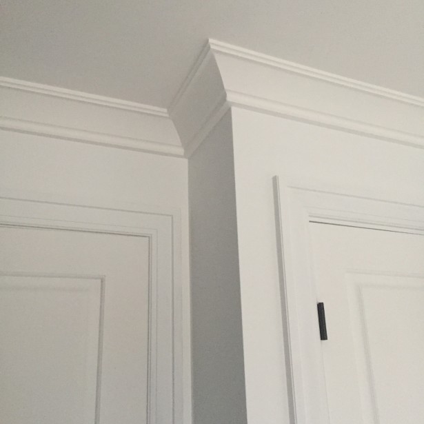 chrisitne dovey project flip metrie