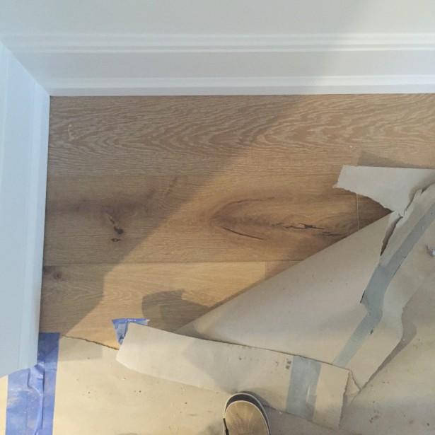 chrisitne dovey project flip alexanian floor