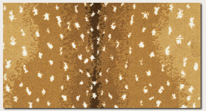 antelope carpet karastan christine dovey one room challenge