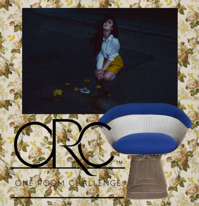 christine dovey one room challenge